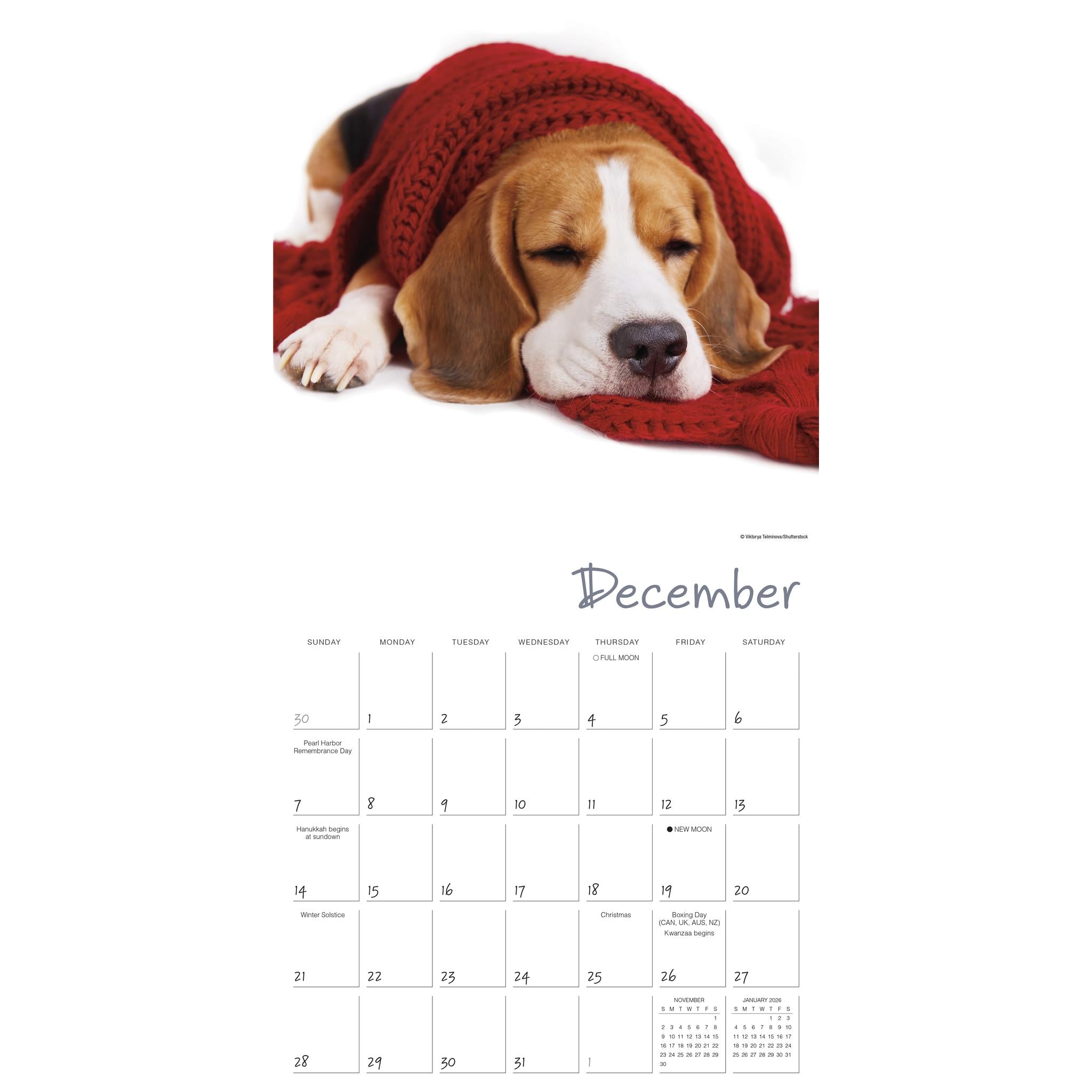 Pooped Puppies Wall 2025 Calendar - Online Exclusive