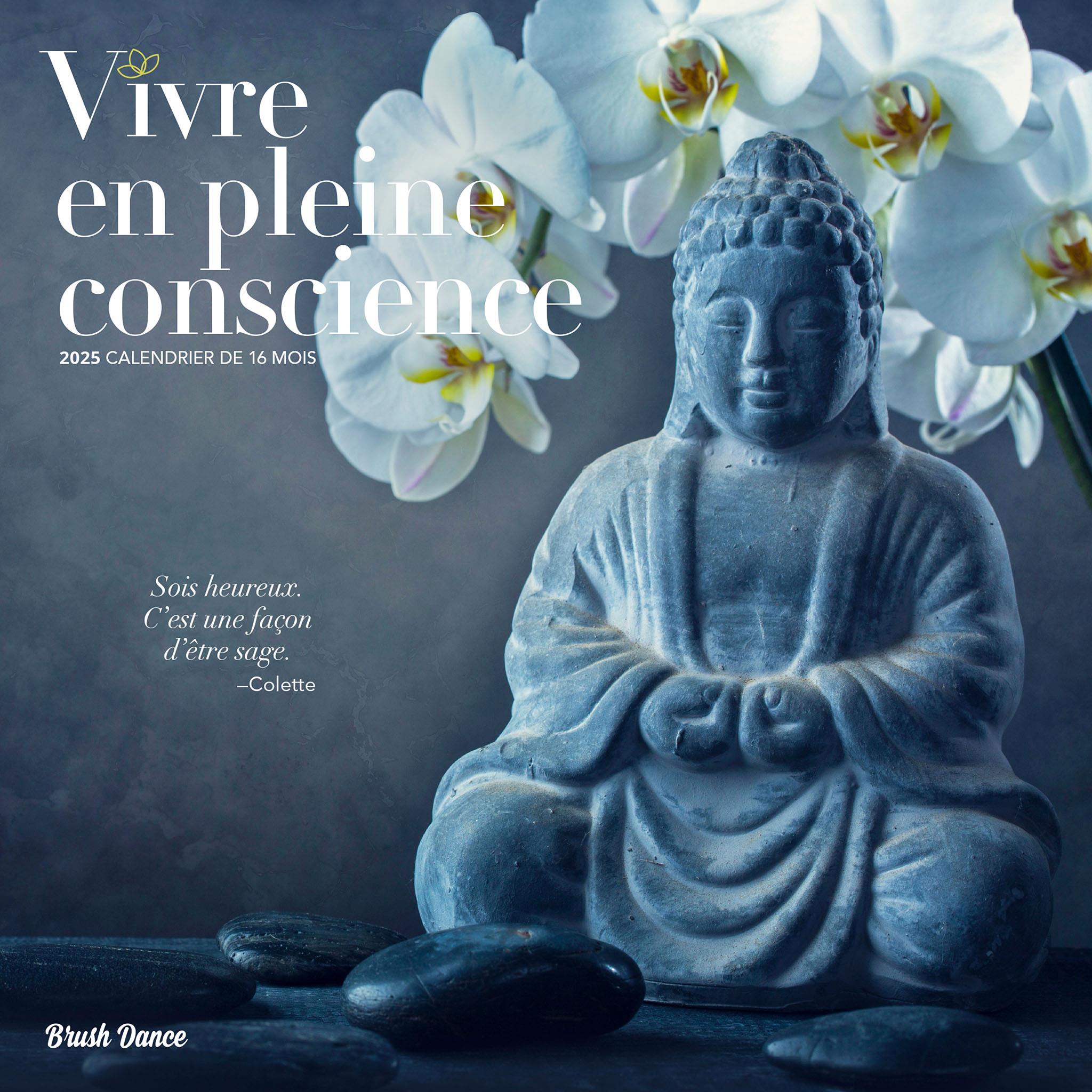 Vivre En Pleine Conscience Wall 2025 Calendar (French)