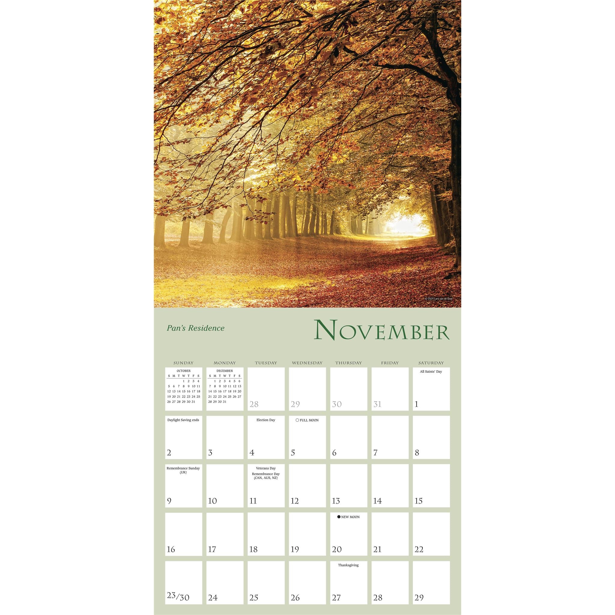 Enchanted Pathways Wall 2025 Calendar