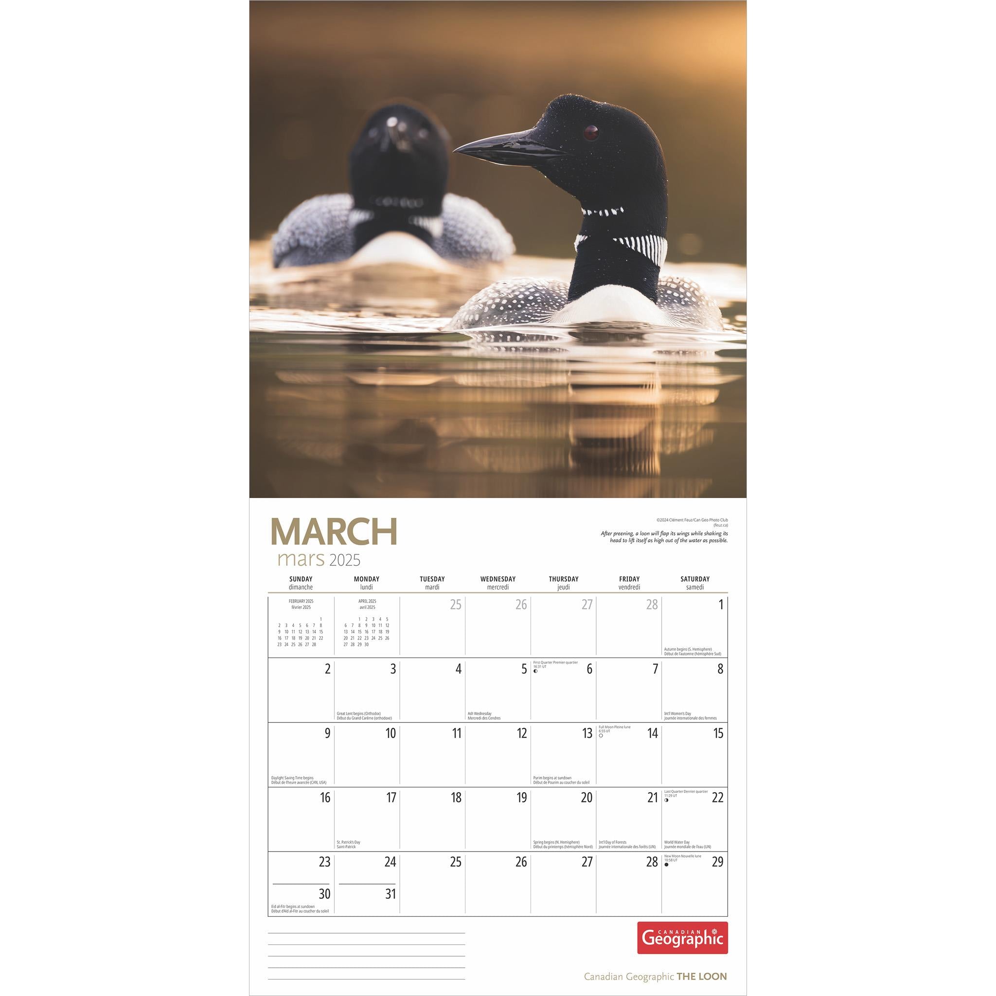 Loon Canadian Geographic Wall 2025 Calendar - Online Exclusive