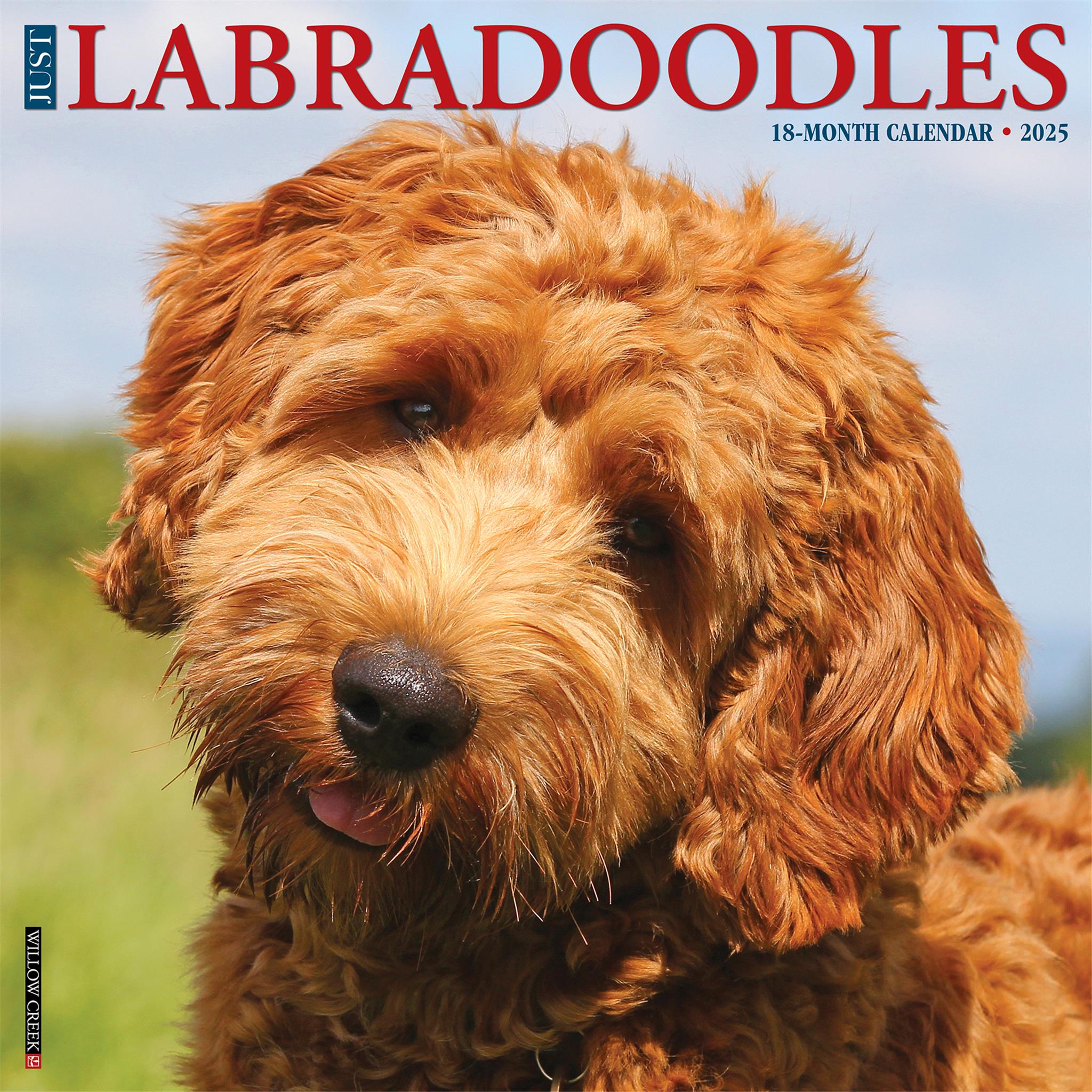 Just Labradoodles Wall 2025 Calendar