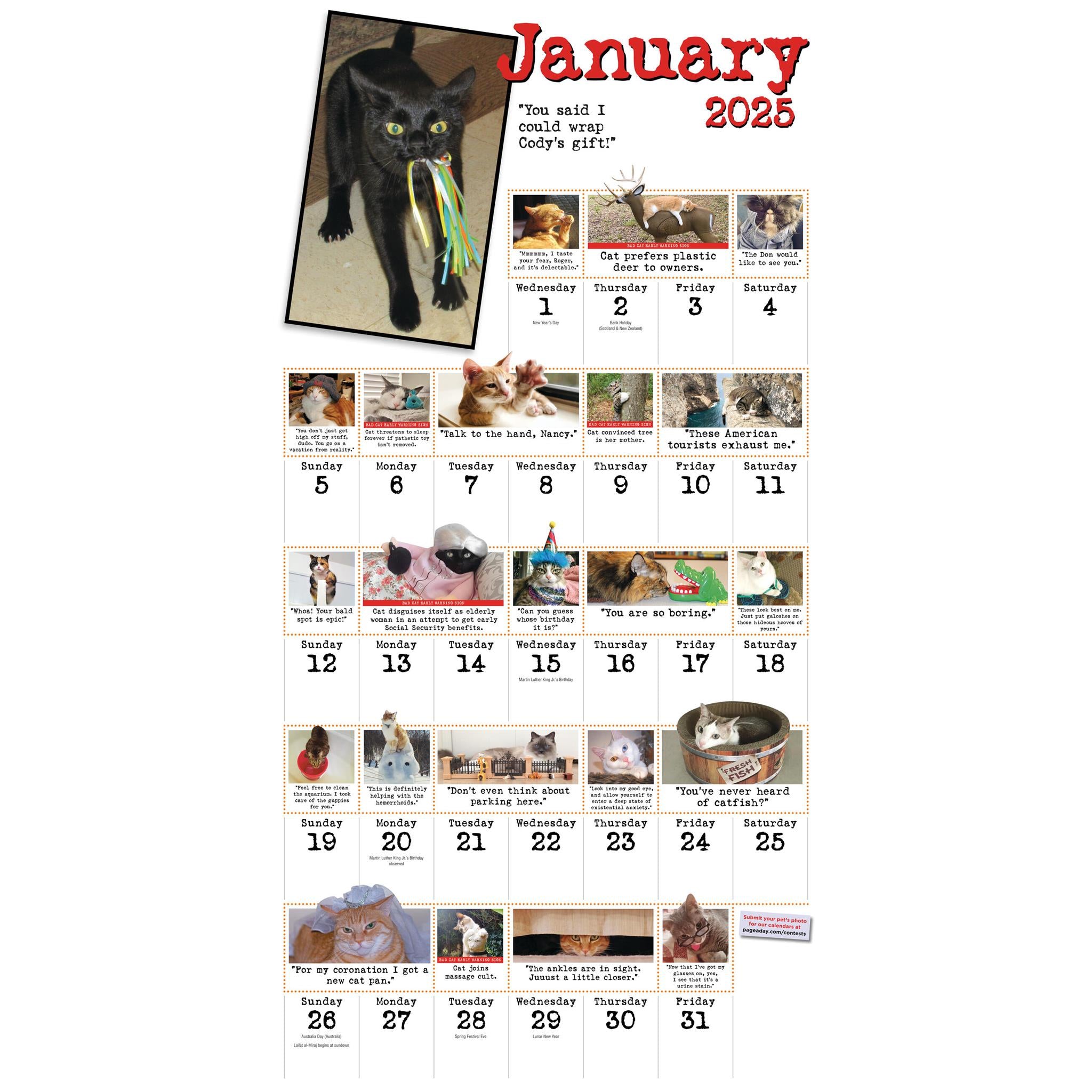 Bad Cat Wall 2025 Calendar - Online Exclusive