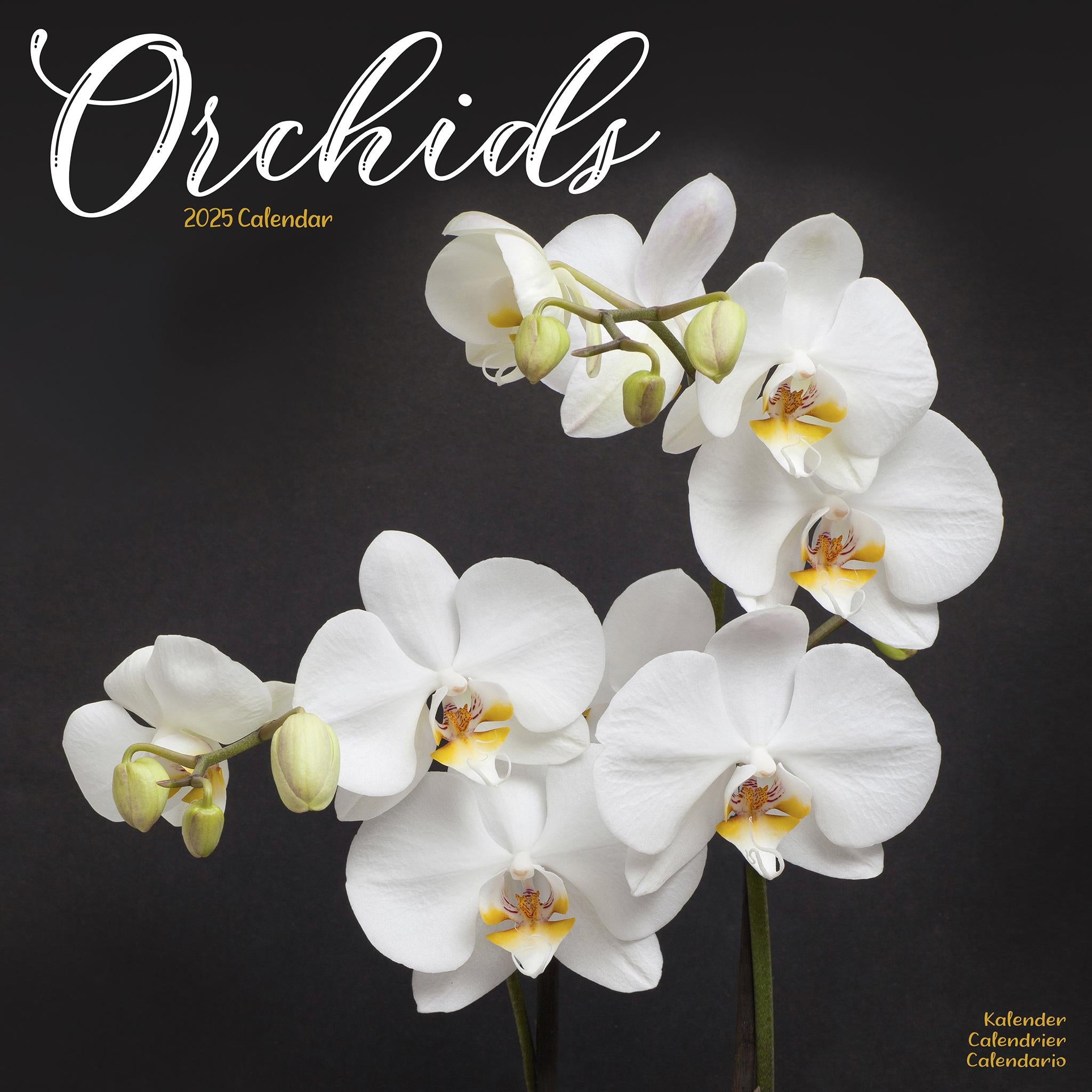 Orchids Wall 2025 Calendar