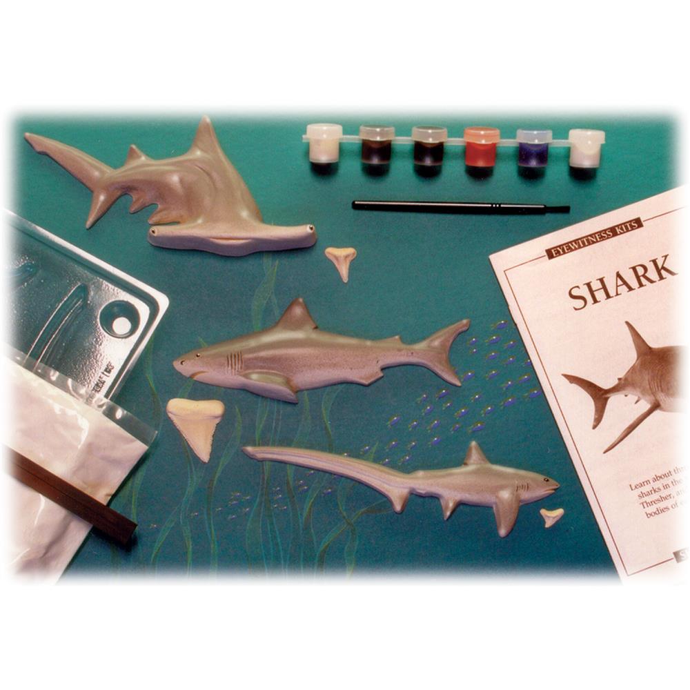 Eyewitness Kits Shark