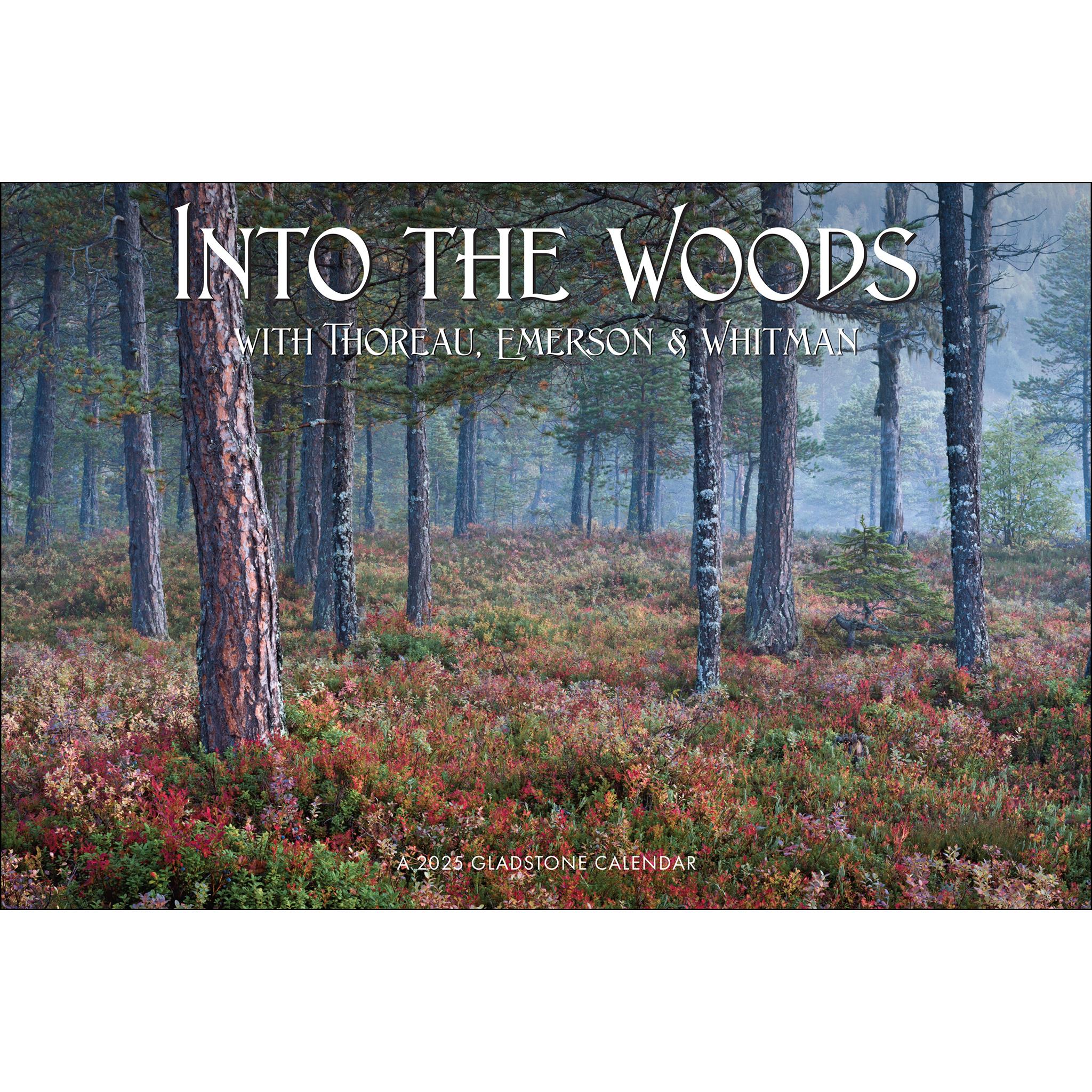 Into The Woods Oversized Wall 2025 Calendar