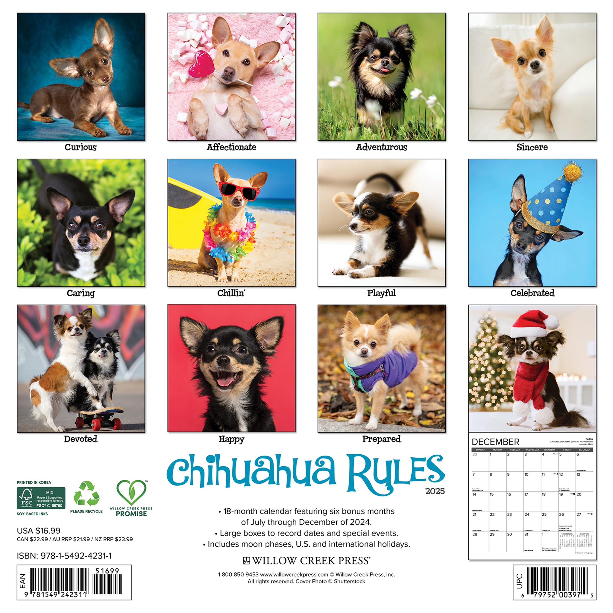 Chihuahua Rules Wall 2025 Calendar - Online Exclusive