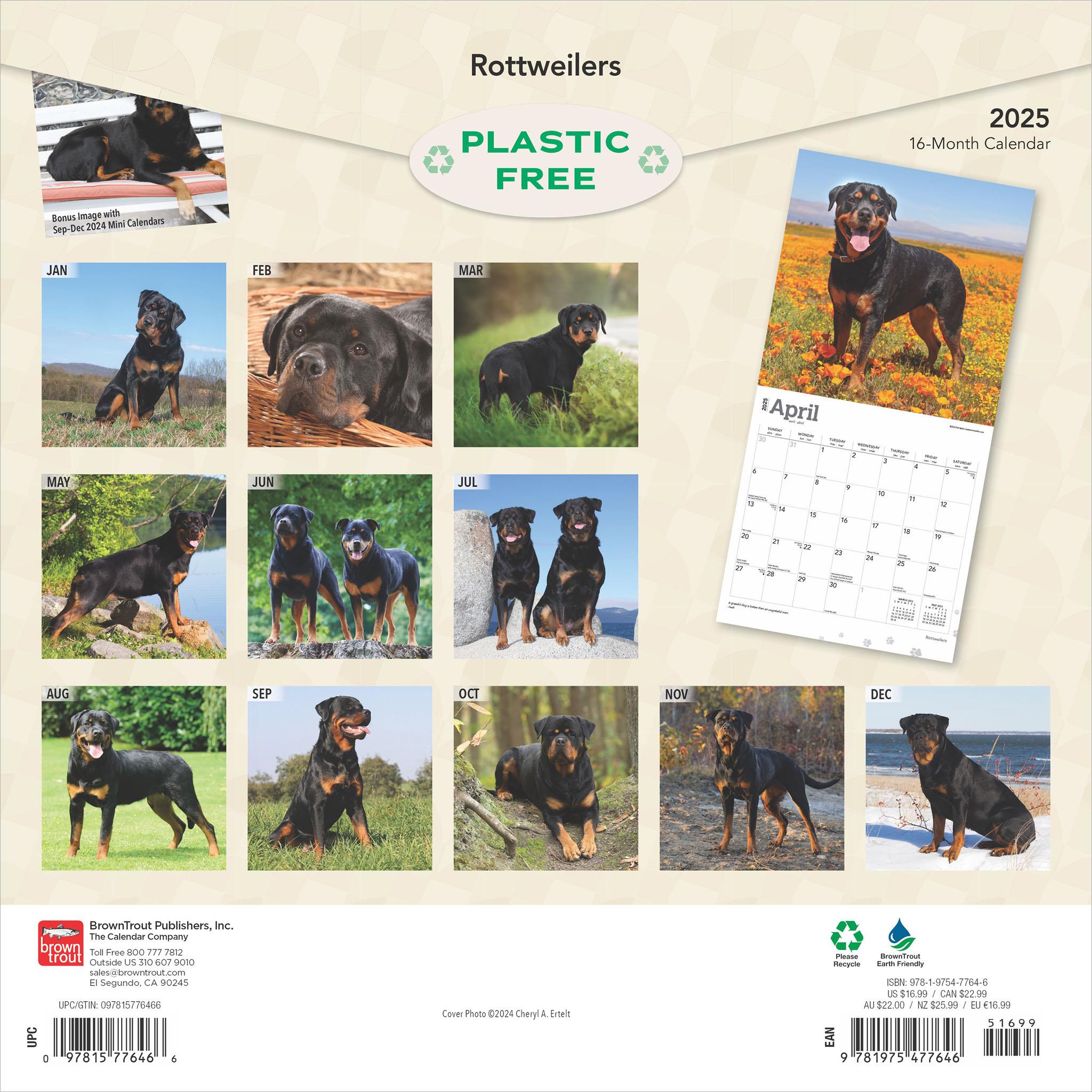 Rottweilers Wall 2025 Calendar