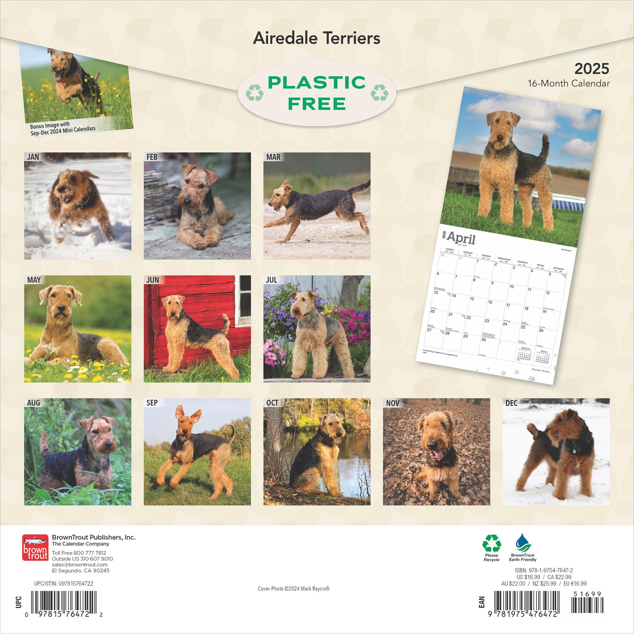 Airedale Terriers Wall 2025 Calendar