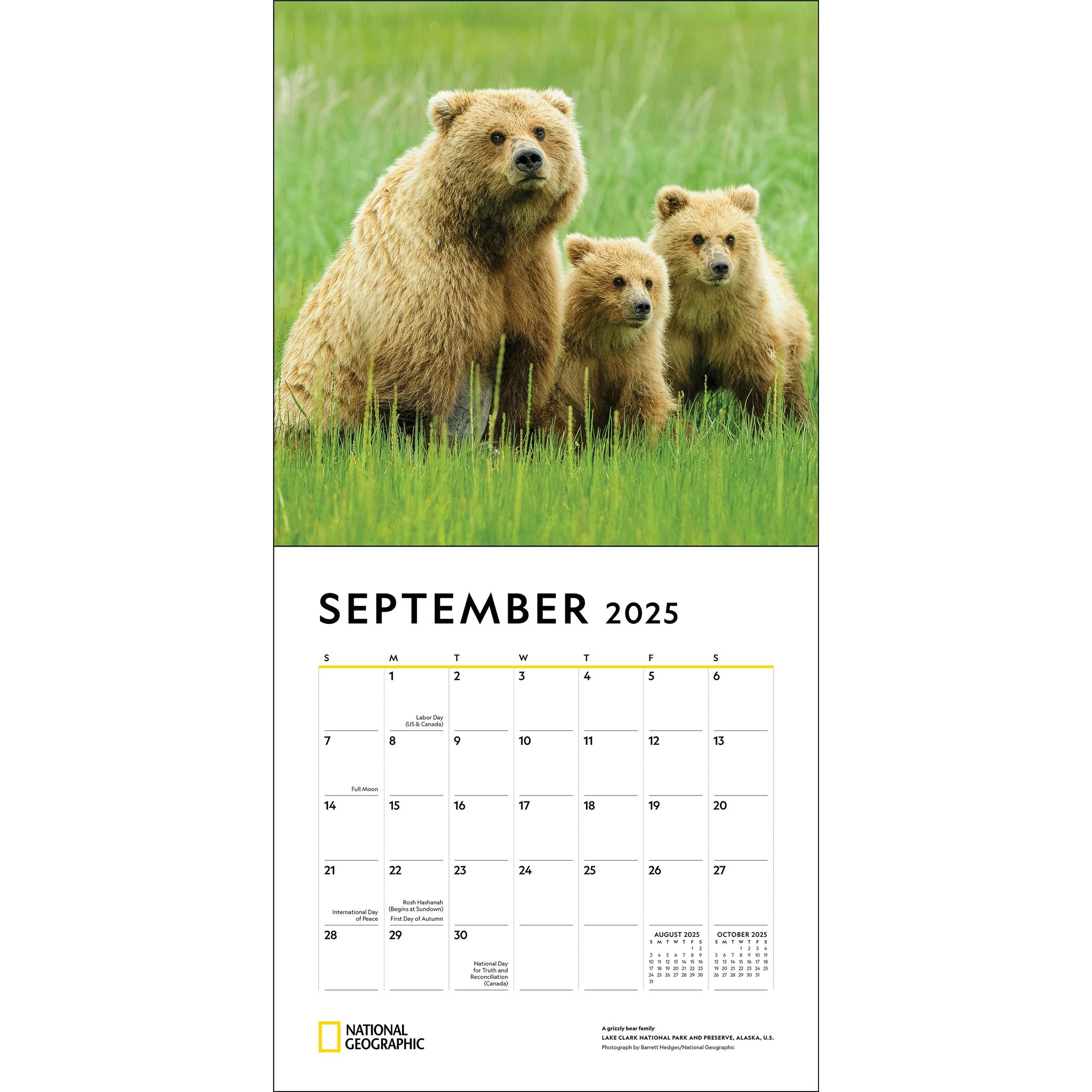 Animal Families National Geographic Wall 2025 Calendar - Online Exclusive