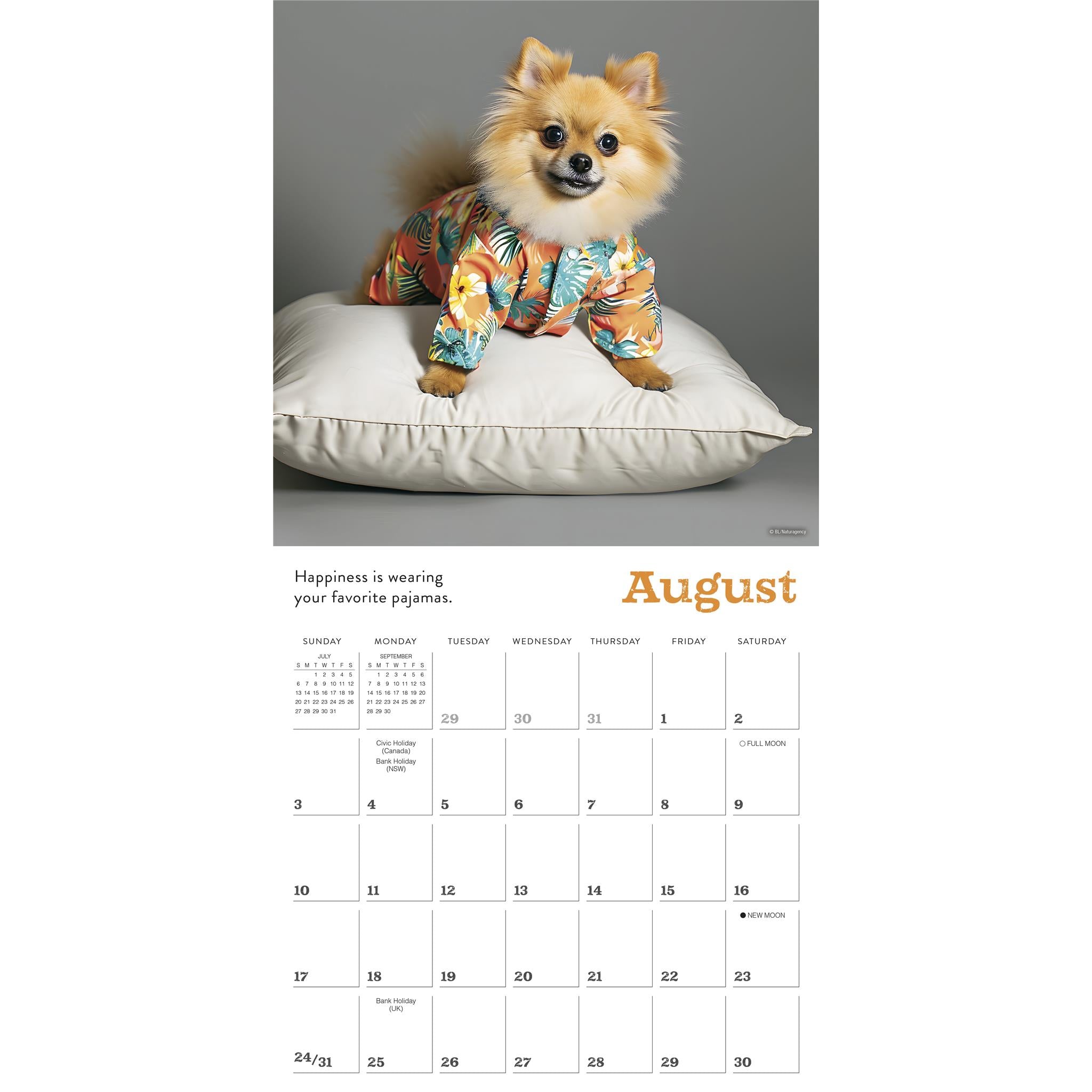 Pajama Pups Wall 2025 Calendar - Online Exclusive