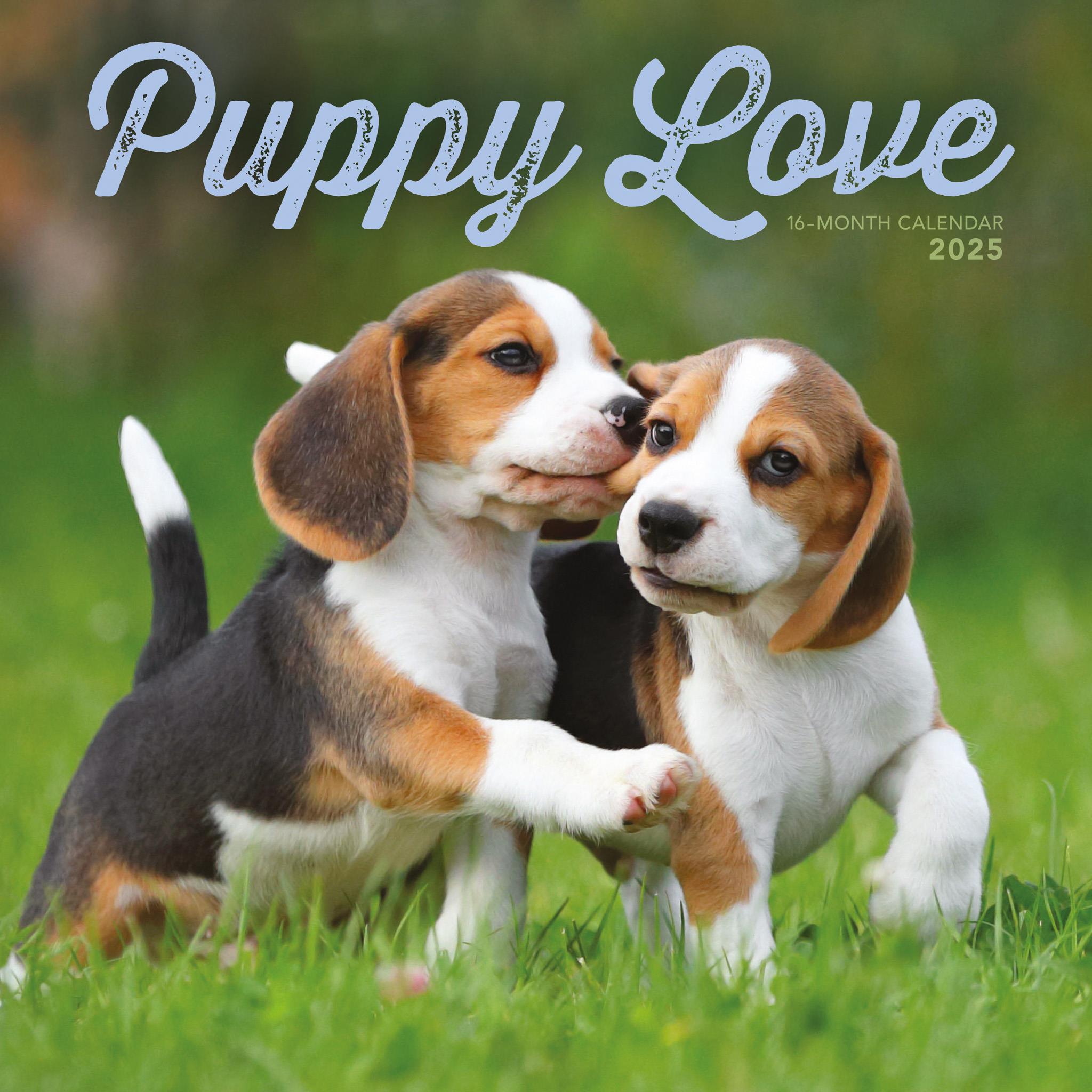 Puppy Love Wall 2025 Calendar