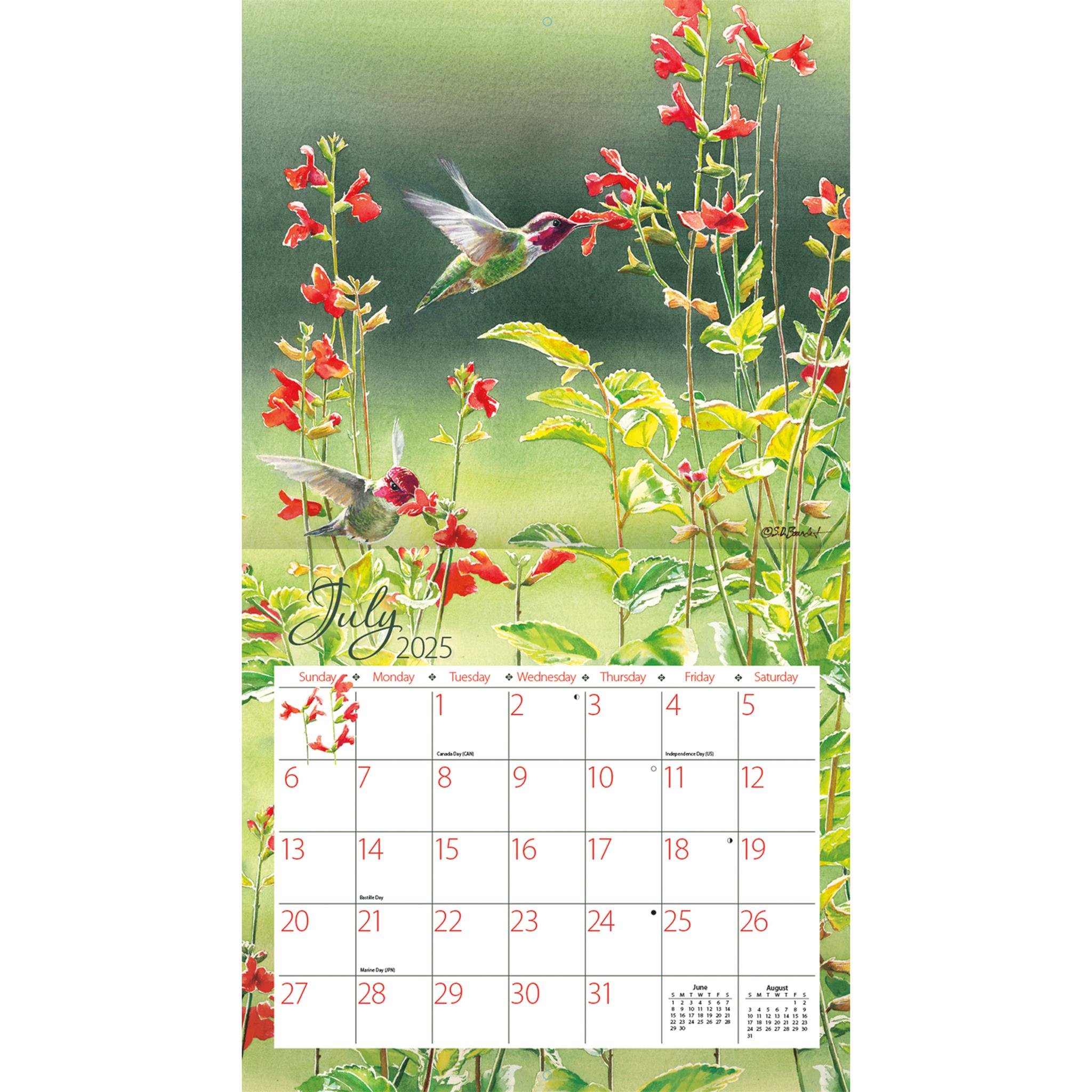 Hummingbirds Wall 2025 Calendar - Online Exclusive