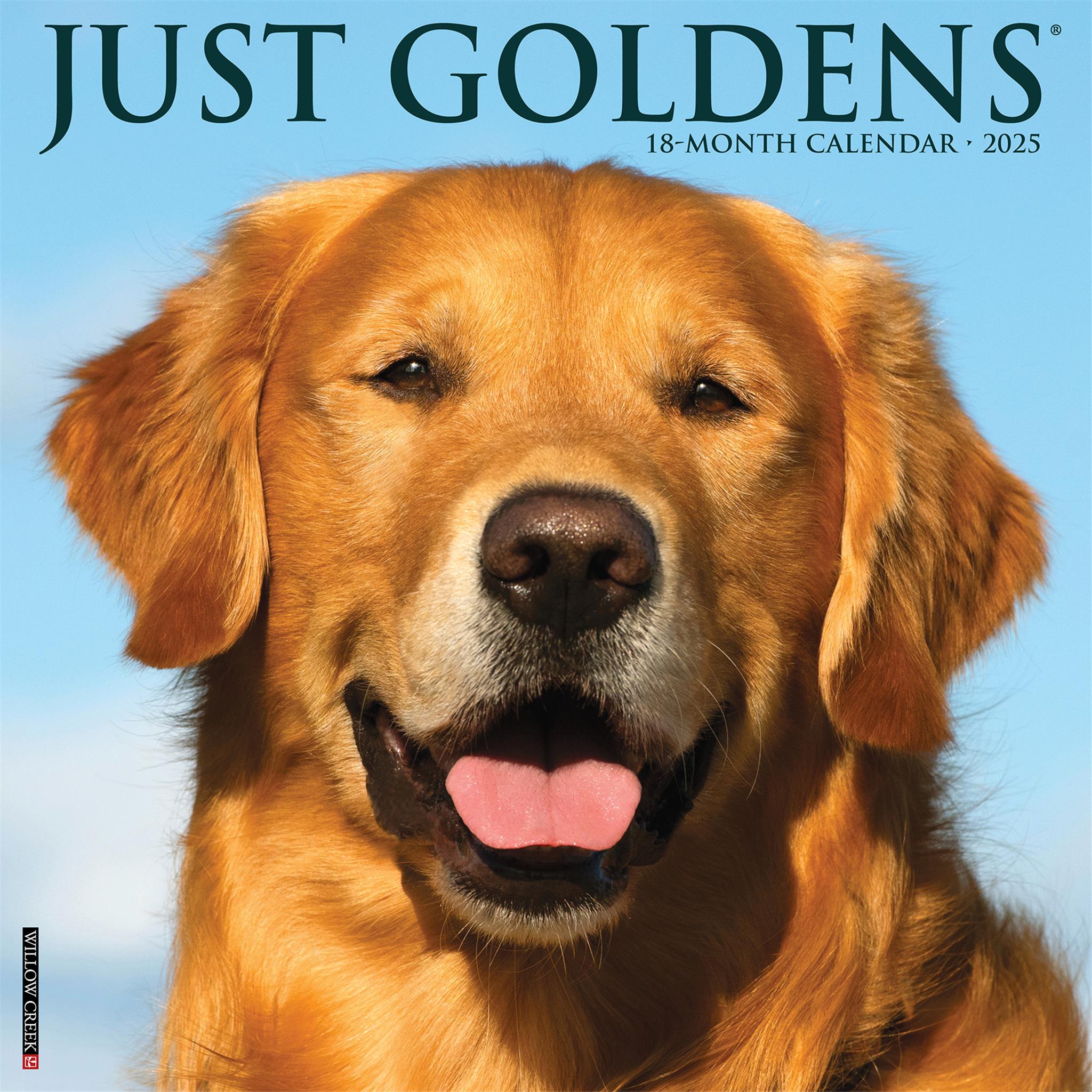 Just Goldens Wall 2025 Calendar