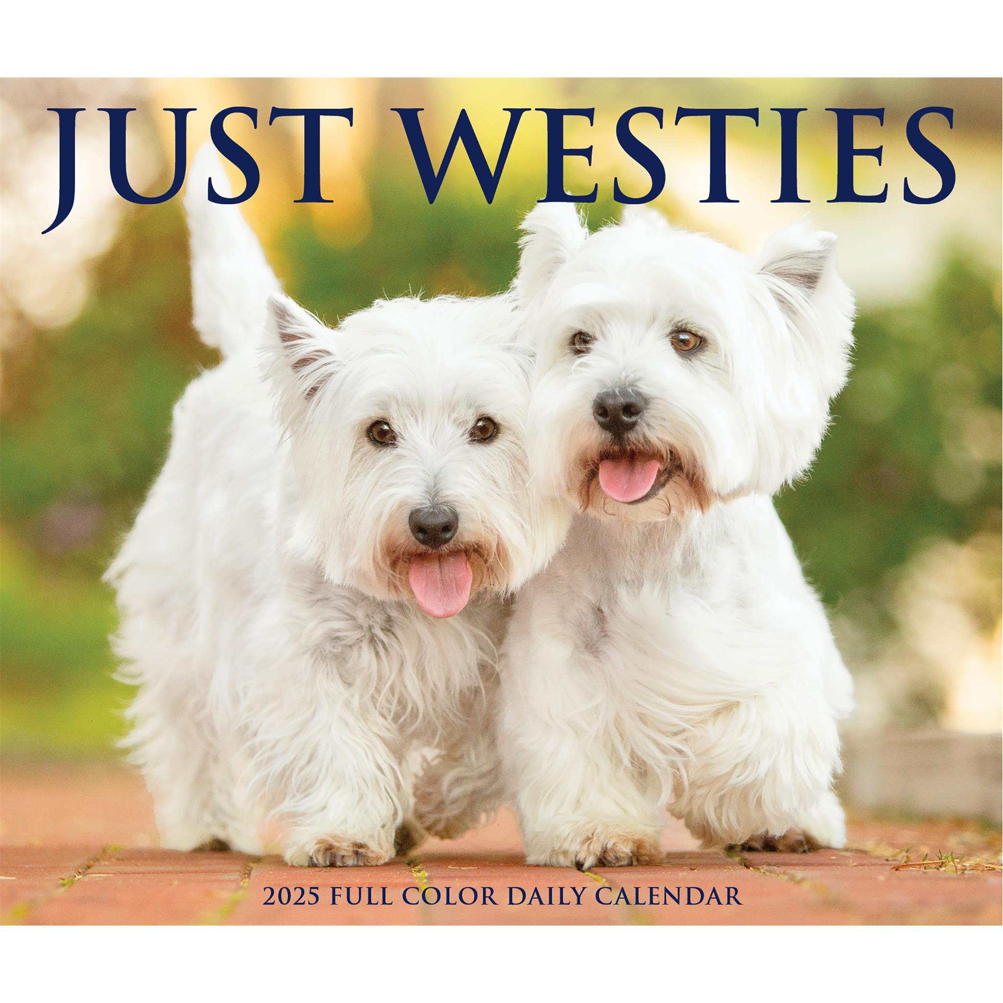 Just Westies Box 2025 Calendar - Online Exclusive