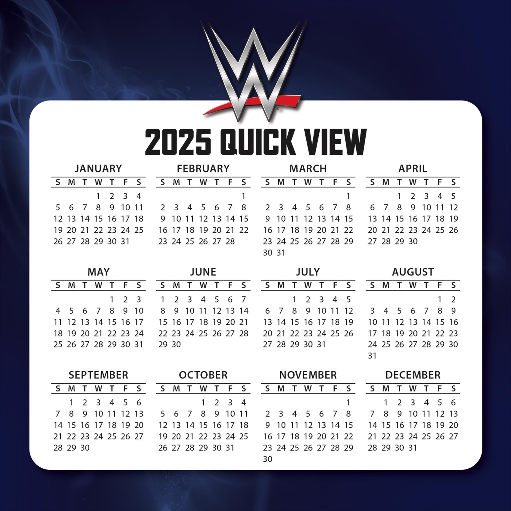 WWE Box 2025 Calendar - Online Exclusive