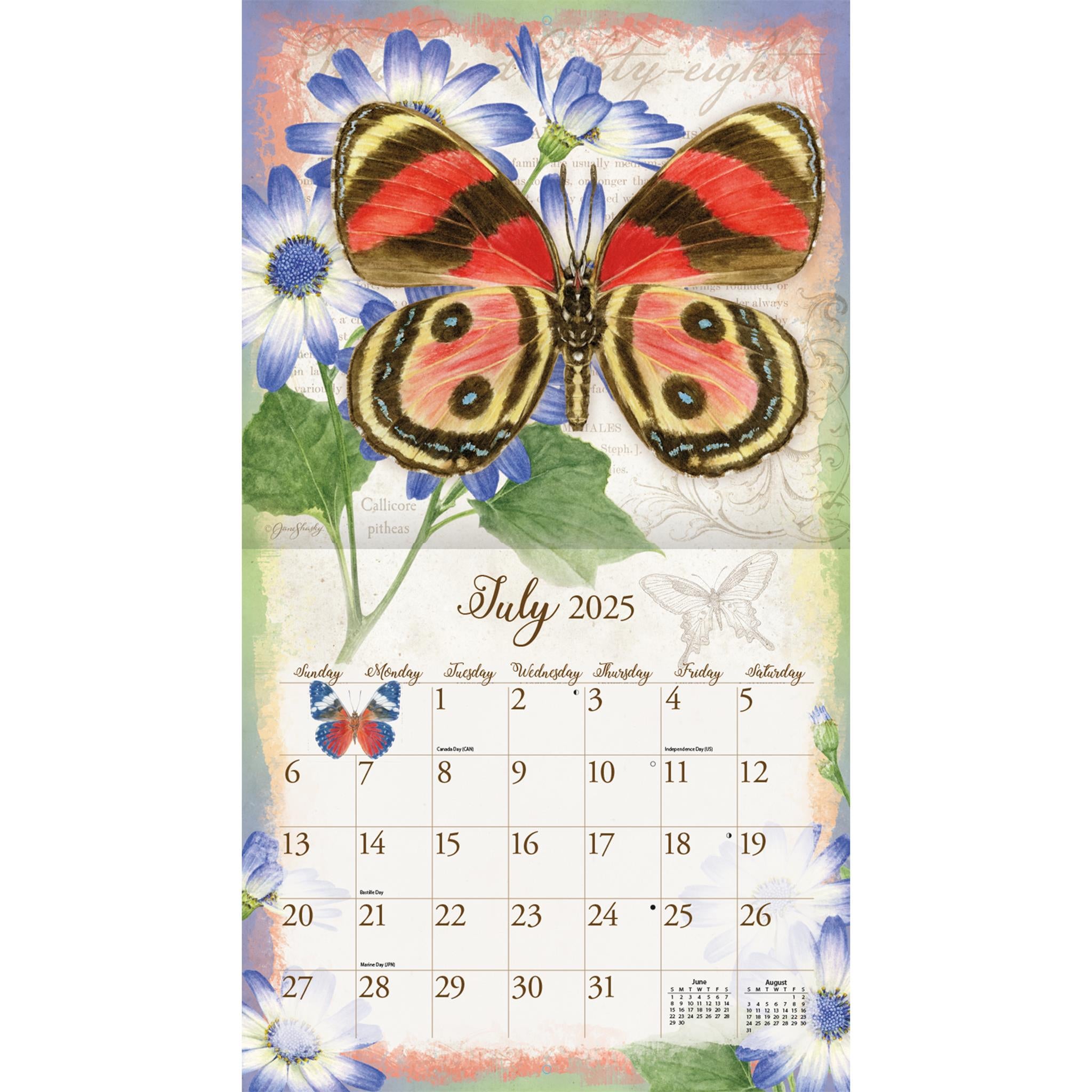 Butterflies Wall 2025 Calendar - Online Exclusive