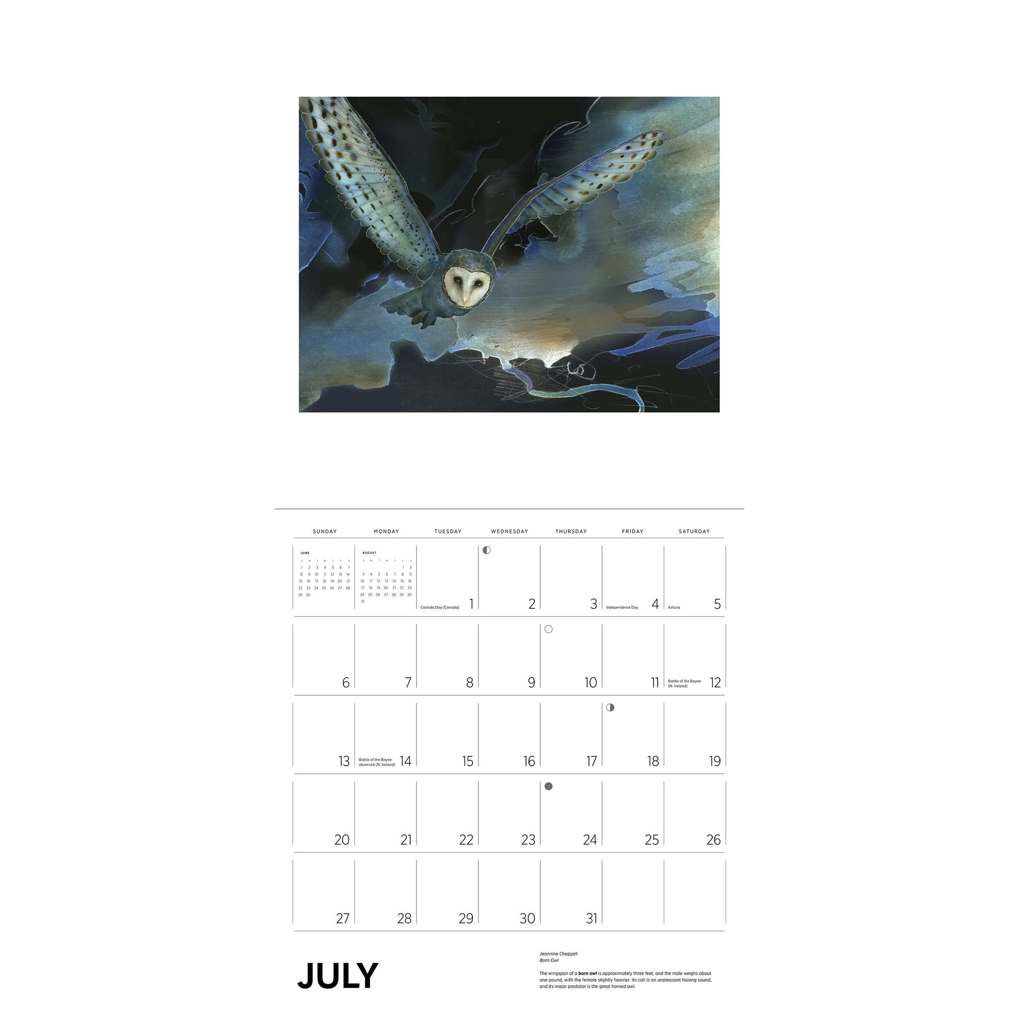 Owls Jeannine Chappell Wall 2025 Calendar