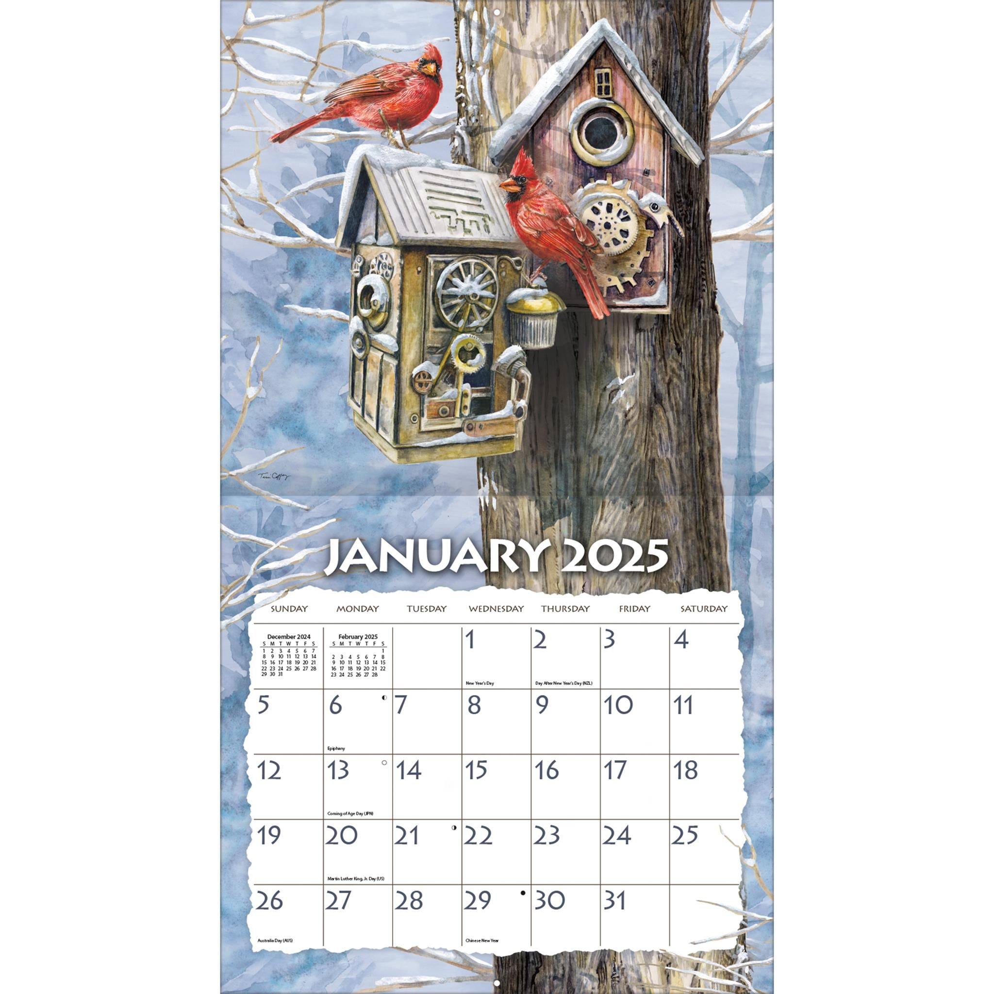 Birdhouses Wall 2025 Calendar - Online Exclusive