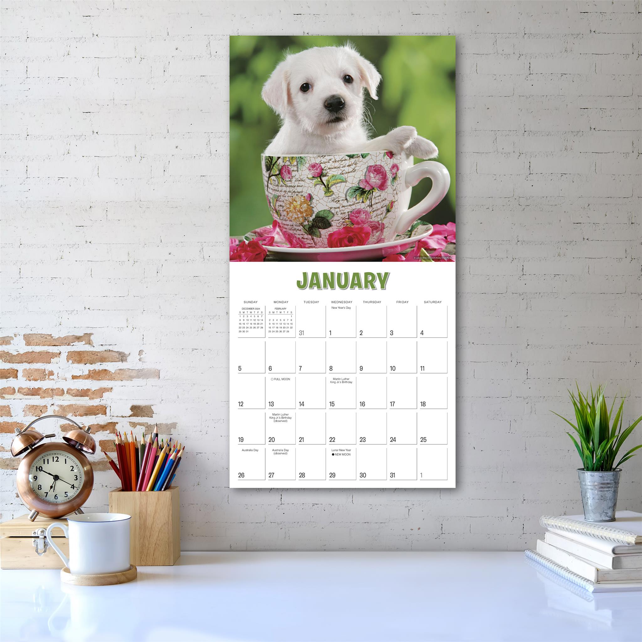 Pups In Cups Wall 2025 Calendar - Online Exclusive