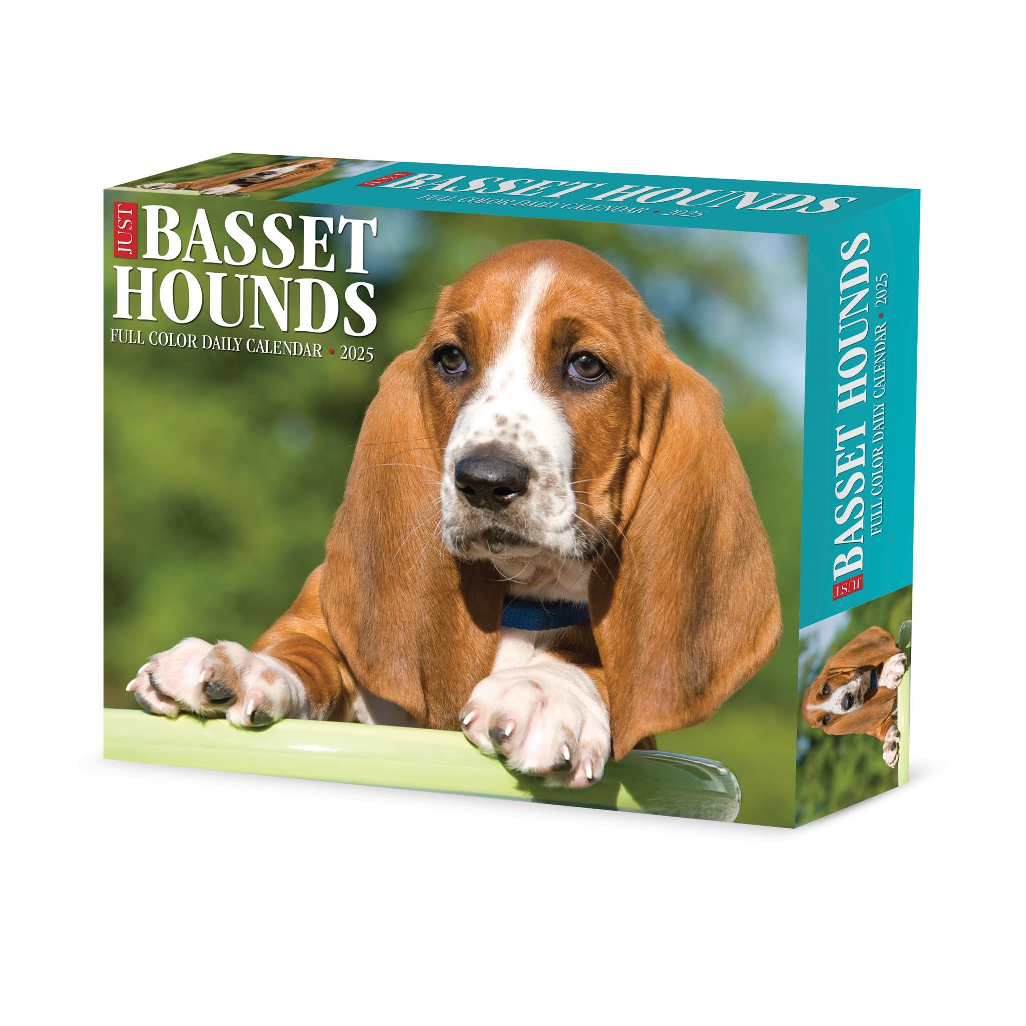 Just Basset Hounds Box 2025 Calendar - Online Exclusive