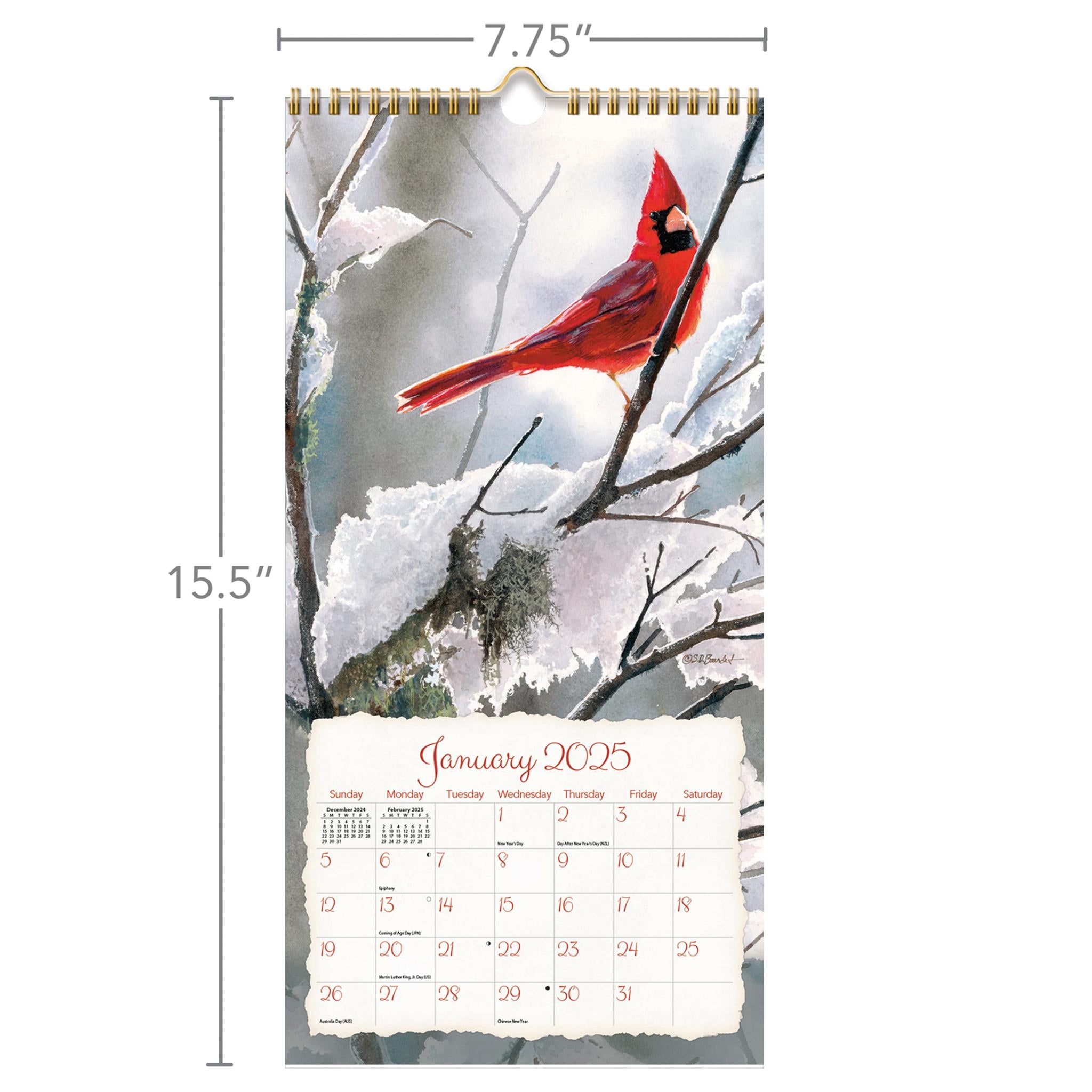 Songbirds Slim 2025 Calendar product image | Calendar Club Canada