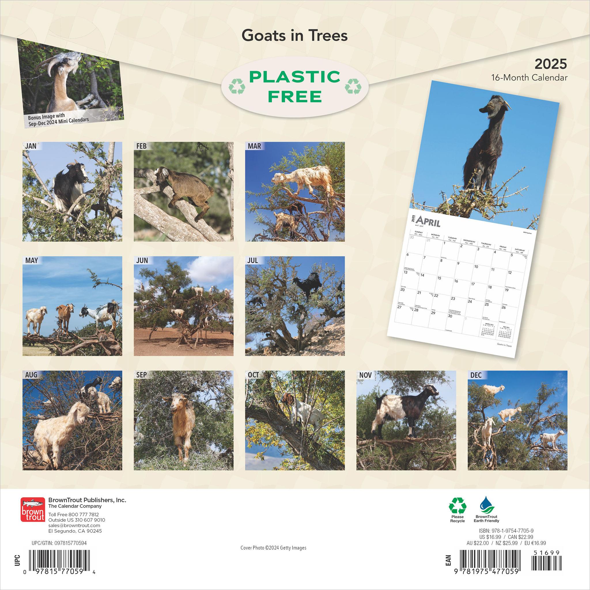 Goats In Trees Wall 2025 Calendar