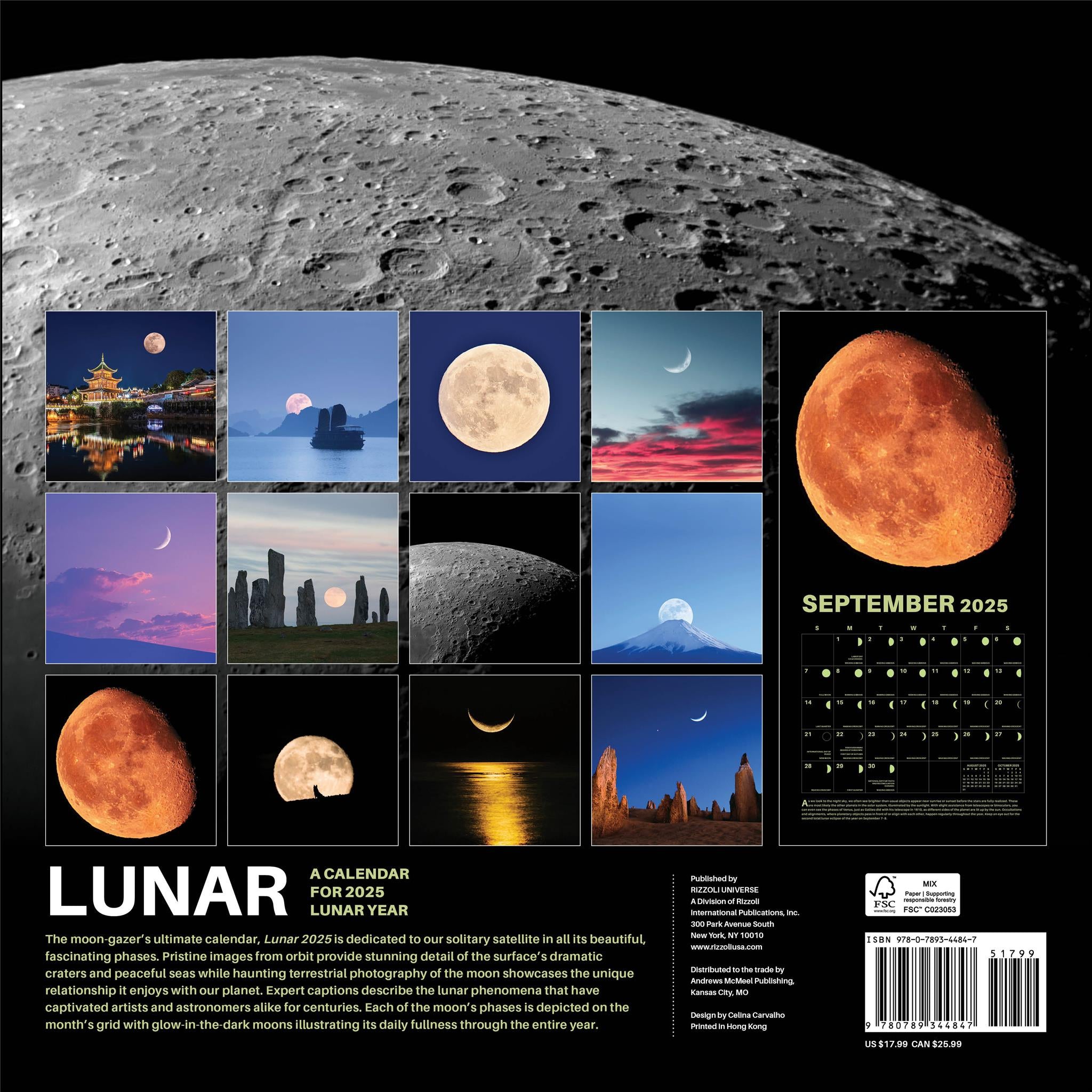 Lunar Wall 2025 Calendar