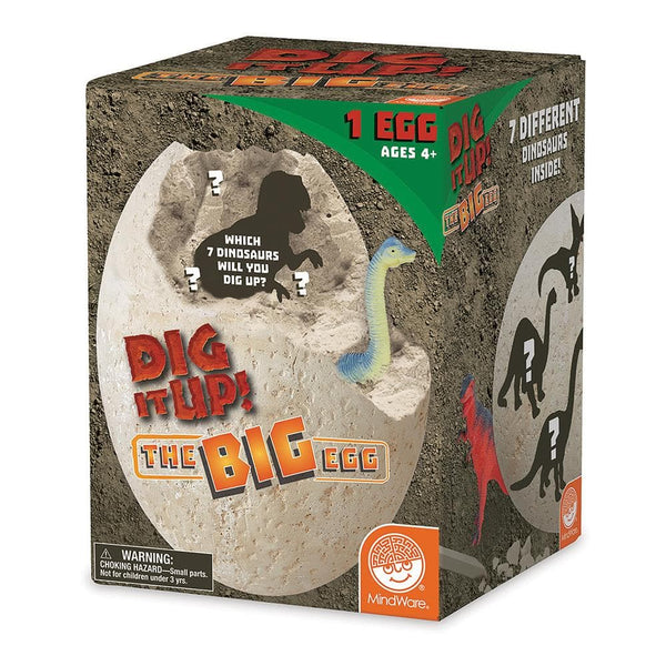 Mindware best sale dinosaur dig