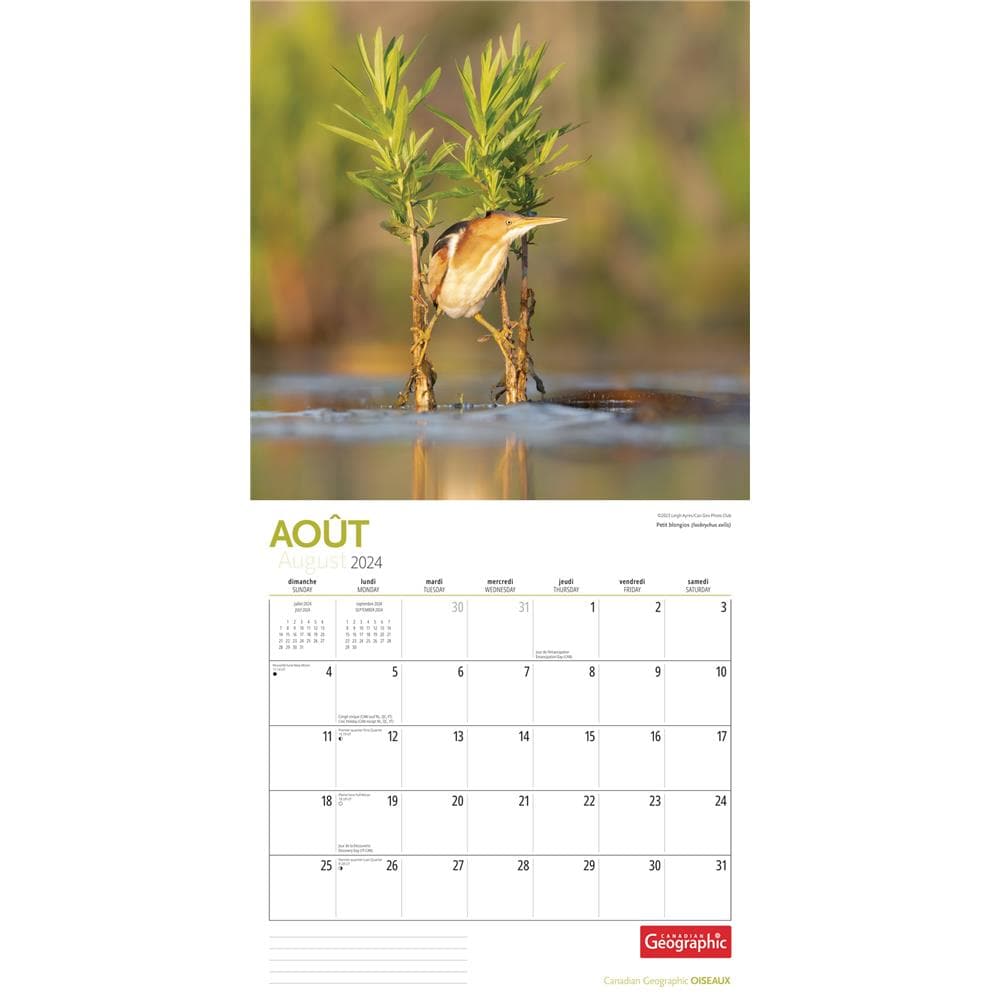 9781525611414 Oiseaux Birds Can Geo 2024 Wall Calendar (French